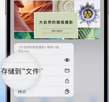 呼和浩特apple维修中心分享iPhone文件应用中存储和找到下载文件