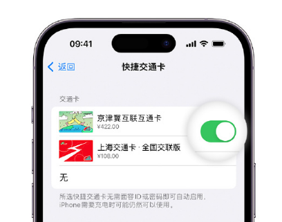 呼和浩特apple维修点分享iPhone上更换Apple Pay快捷交通卡手绘卡面 