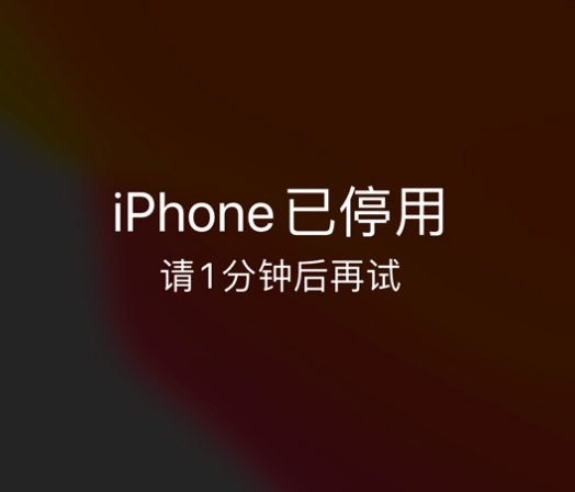 呼和浩特苹果手机维修分享:iPhone 显示“不可用”或“已停用”怎么办？还能保留数据吗？ 