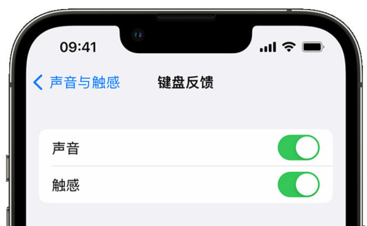 呼和浩特苹果手机维修分享iPhone 14触感键盘使用方法 