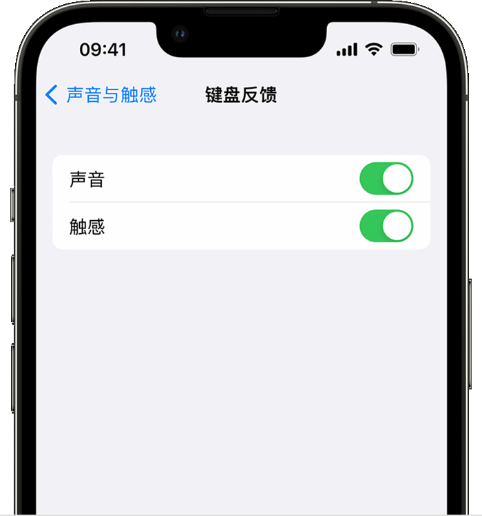 呼和浩特苹果14维修店分享如何在 iPhone 14 机型中使用触感键盘 