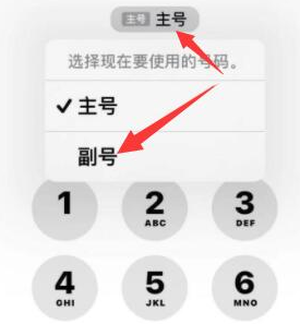 呼和浩特苹果14维修店分享iPhone 14 Pro Max使用副卡打电话的方法 