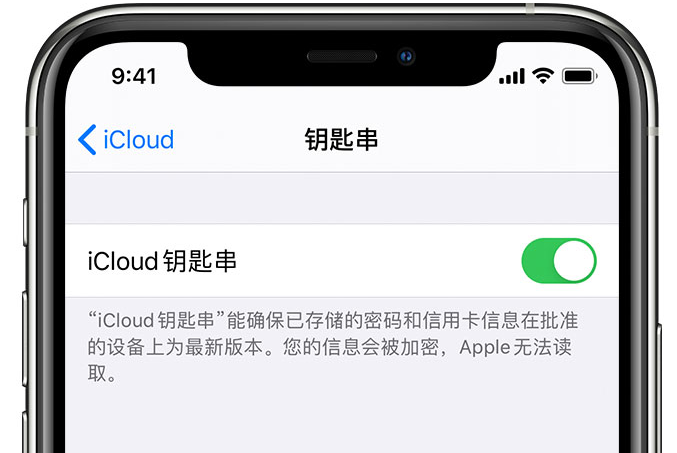 呼和浩特苹果手机维修分享在 iPhone 上开启 iCloud 钥匙串之后会储存哪些信息 