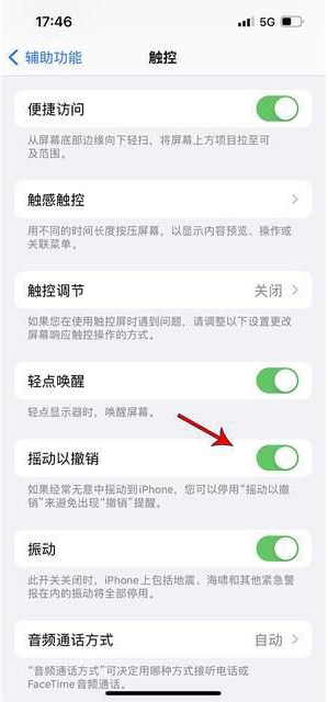 呼和浩特苹果手机维修分享iPhone手机如何设置摇一摇删除文字 