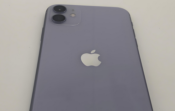 呼和浩特苹果11系统维修分享iPhone11手机系统崩溃无法开机如何解决 