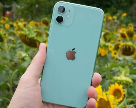 呼和浩特苹果维修点分享iPhone 11锁屏密码认知与使用科普 